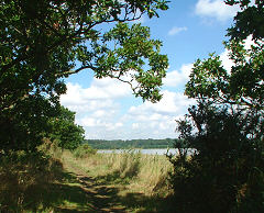 View as seen along one of many footpaths