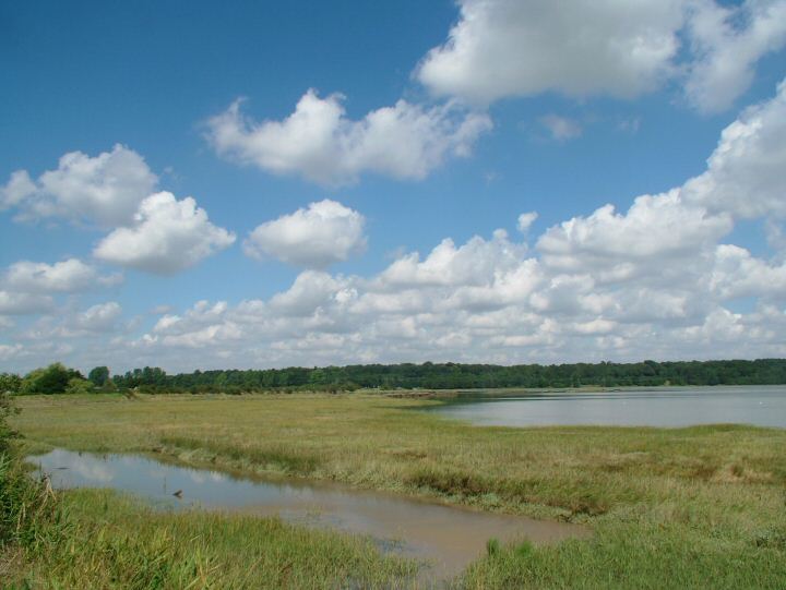 Blythburgh Village Photograph